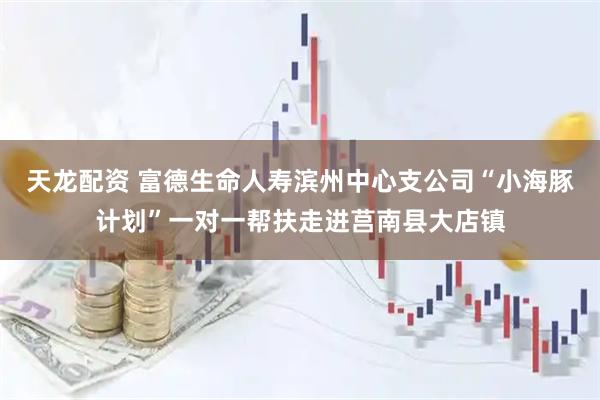 天龙配资 富德生命人寿滨州中心支公司“小海豚计划”一对一帮扶走进莒南县大店镇